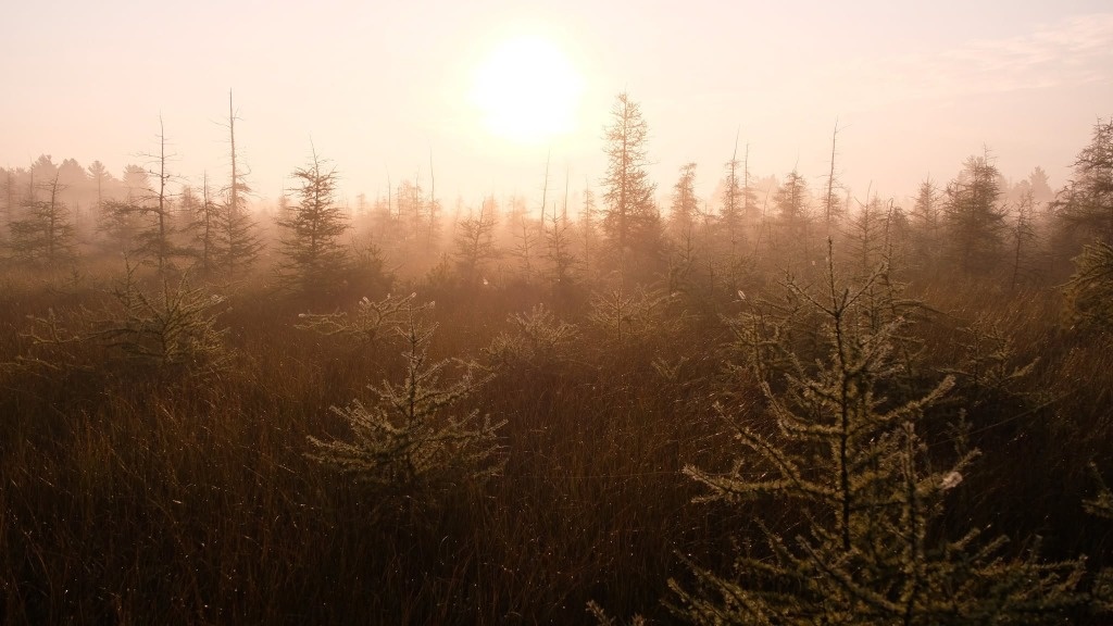 Paysage naturel de la Grande Tourbière de Blainville